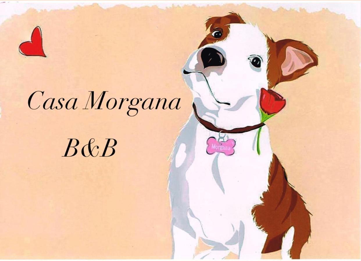B&B Casa Morgana Olbia Exteriér fotografie